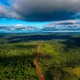 Tropical rainforests such as the Amazon are among the most effective carbon sinks the Earth has gifted us with.
